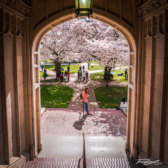 Meet your Posher, Roman - Picture 3 of 8